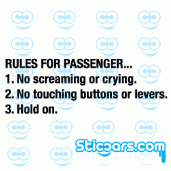 2339 rules for passenger 2339 rules for passenger