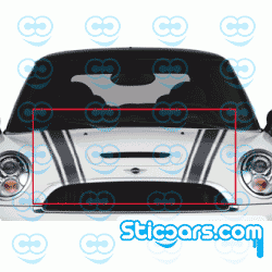 4100 Bonnet Striping 4100 Bonnet Striping