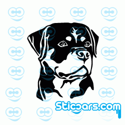 4137 rottweiler 4137 rottweiler