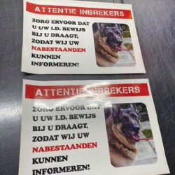 4432- attentie inbrekers met foto eigen huisdier