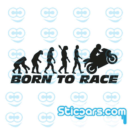 4568 born to race