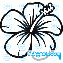 0060 Bloem 0060 Bloem