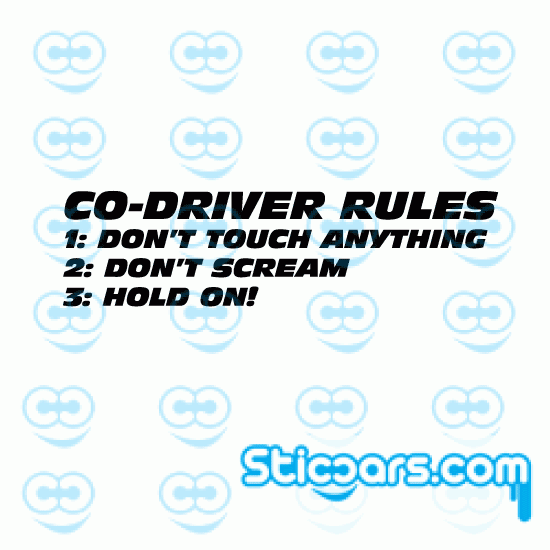 3725 co-driver rules