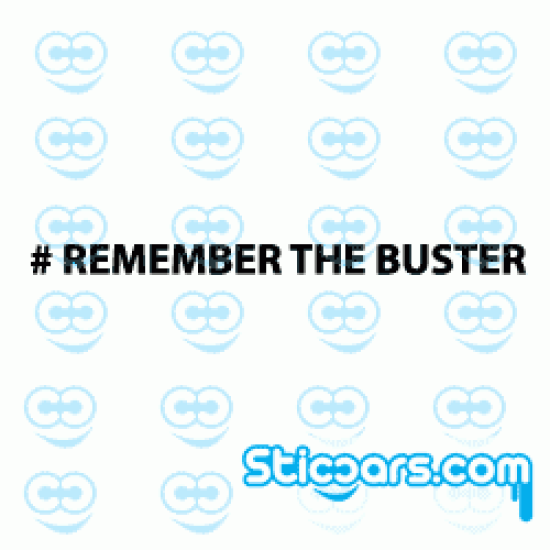 2971 Remember the buster Paul Walker