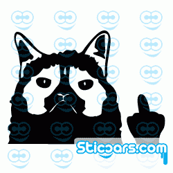 1669 Grumpy cat fuck you