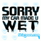 2389 sorry my car made u wet
