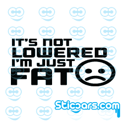 3366 its not lowered im just fat