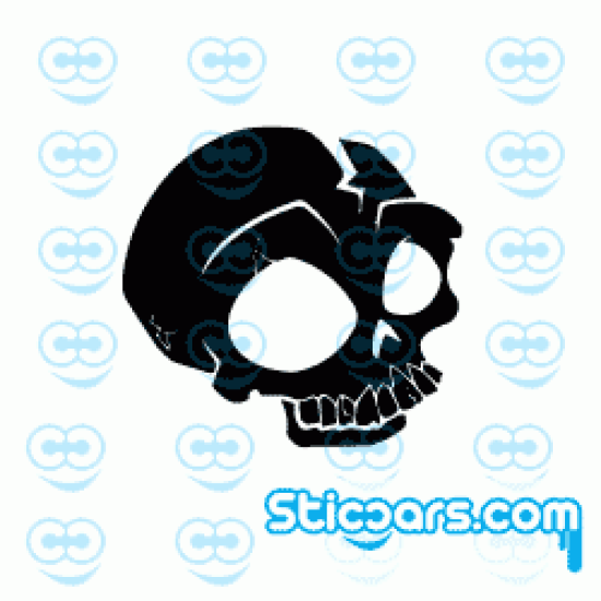 2463 Skull