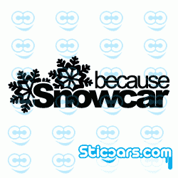 2559 because snowcar