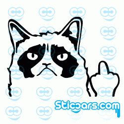 2601 Grumpy cat fuck you 2601 Grumpy cat fuck you