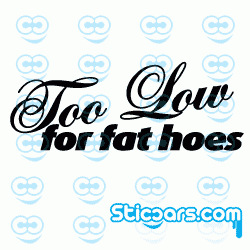 1173 Too Low for fat hoes 1173 Too Low for fat hoes