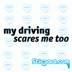 1192 my driving scares me too 1192 my driving scares me too