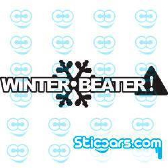 0662 Winter Beater!