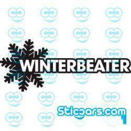 0663 Winter Beater